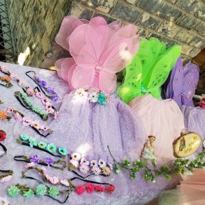 מסיבת פיות קסומה - תמונה 19