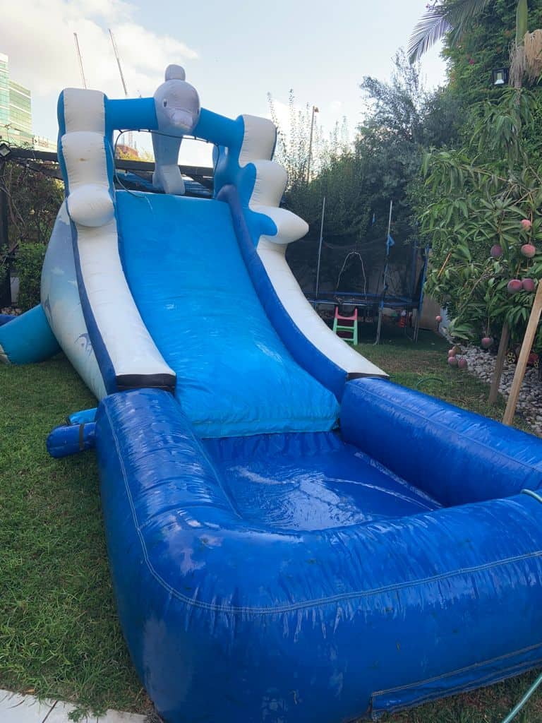 מגלשת מים דולפין להשכרה (2)