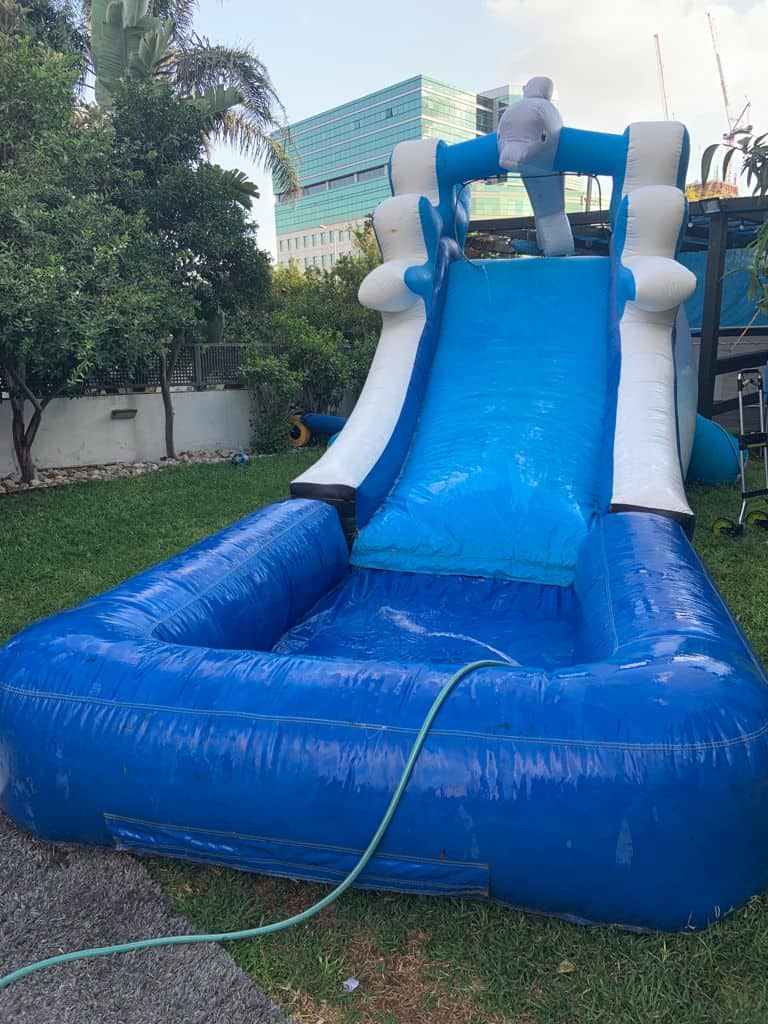 מגלשת מים דולפין להשכרה