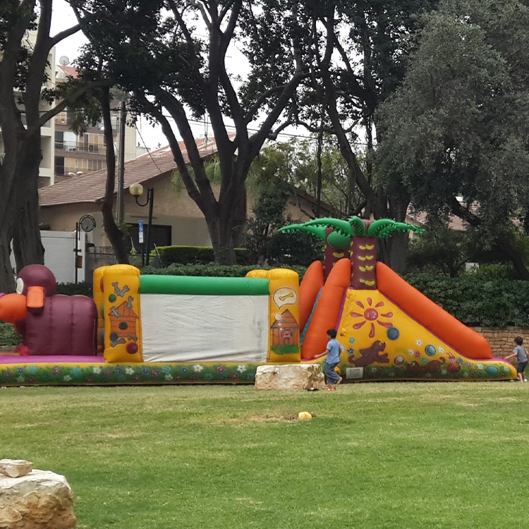 אתגרון כלב
