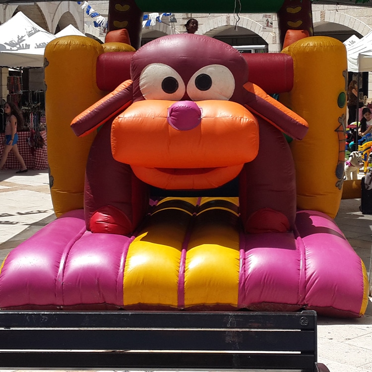 אתגרון כלב