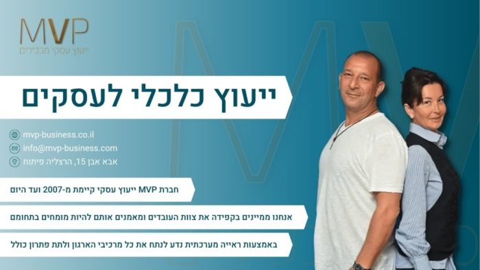 ייעוץ כלכלי לעסקים