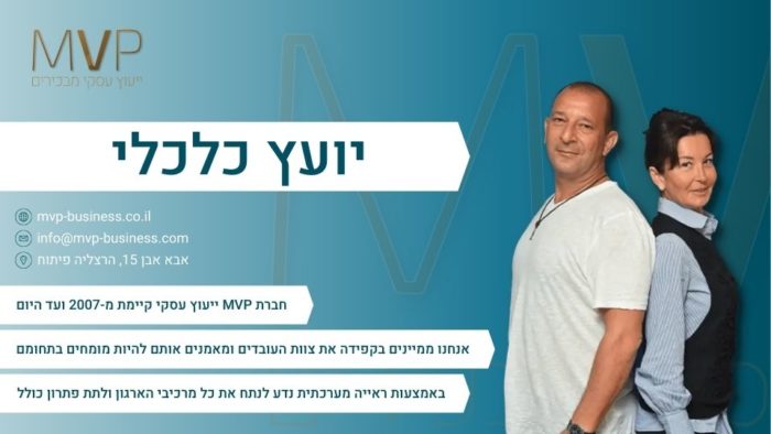 יועץ כלכלי