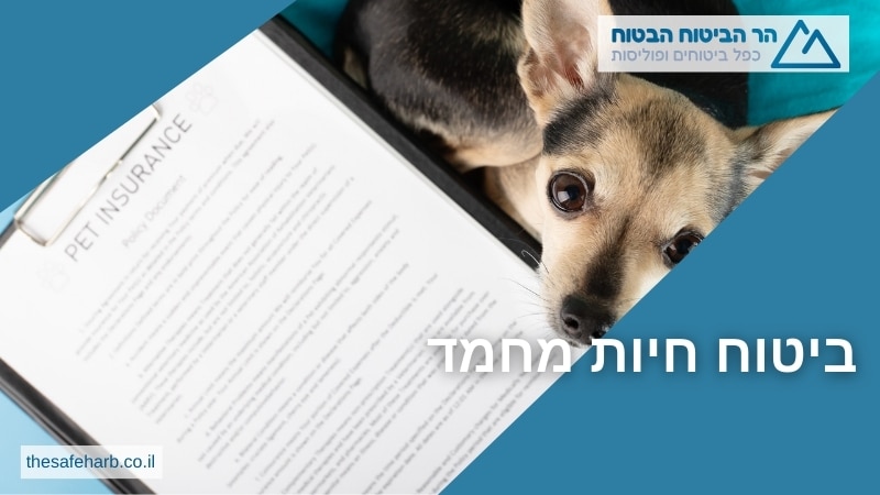 ביטוח חיות מחמד