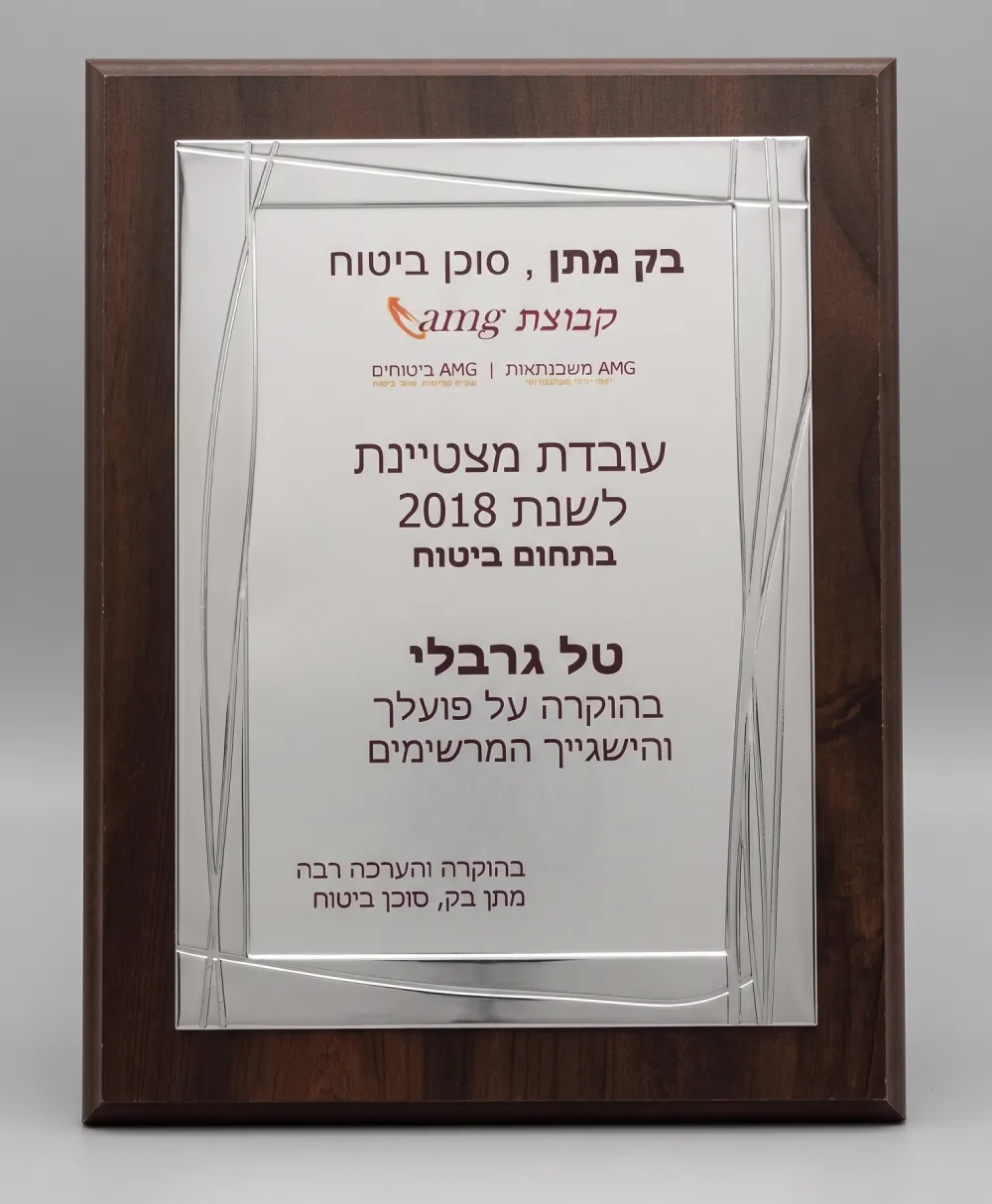 תעודת הצטיינות AMG GROUP 2018